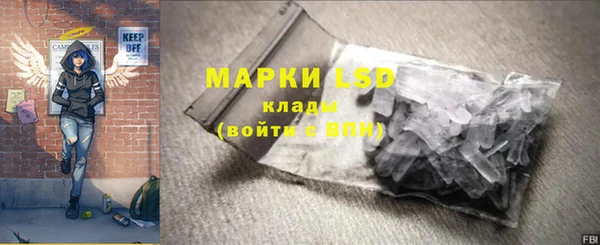 СК Алексин
