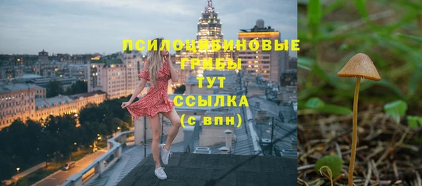 амф Абдулино