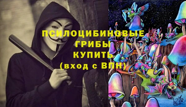 СК Алексин